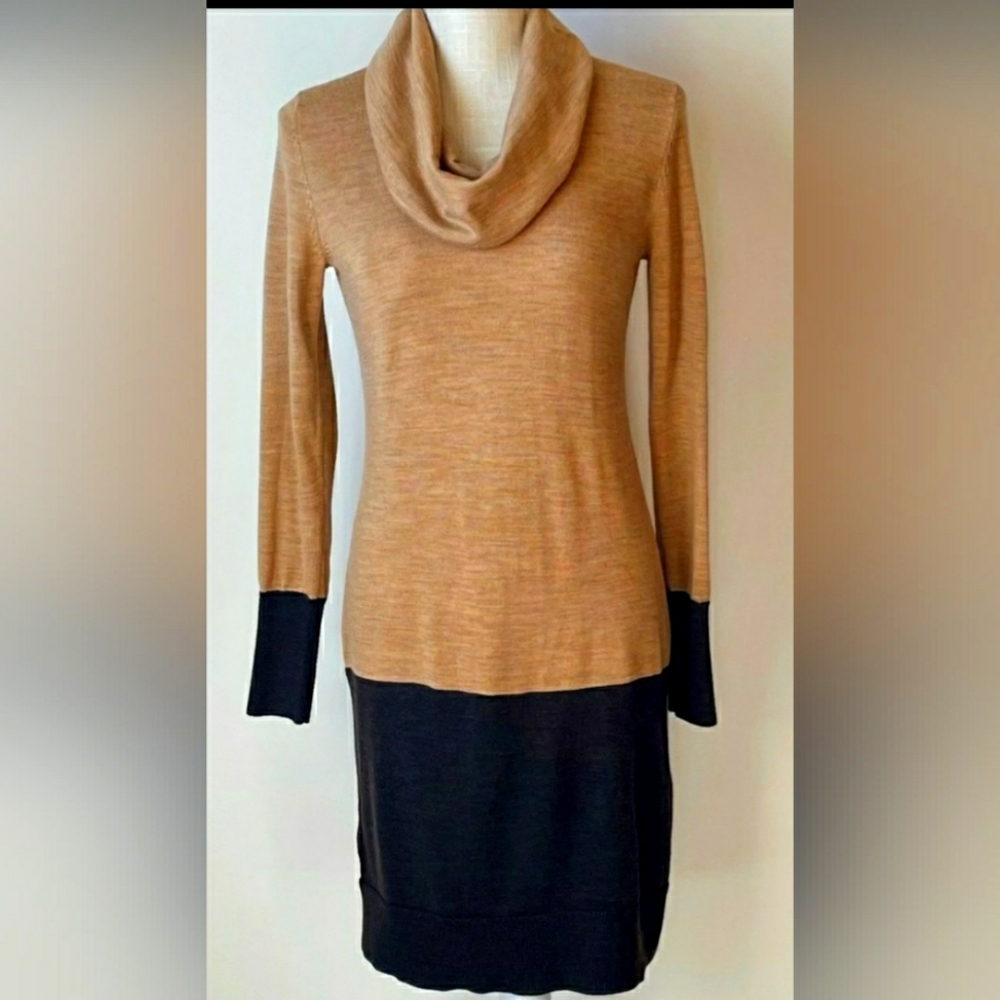 Loft Cowl Neck Sweater Dress